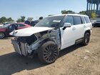 2025 Hyundai Santa Fe Calligraphy White vin: 5NMP5DGL9SH069490