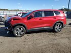 2021 Hyundai Santa Fe Se Red vin: 5NMS1DAJ6MH369648
