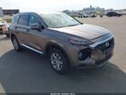 2020 Hyundai Santa Fe Sel Brown vin: 5NMS3CAD9LH163088
