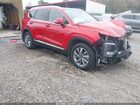 2020 Hyundai Santa Fe Limited Красный vin: 5NMS53ADXLH265123