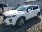 2020 Hyundai Santa Fe Limited White vin: 5NMS5CAD9LH220643