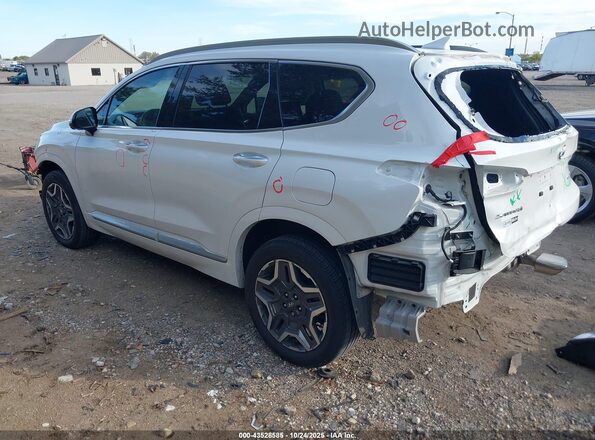 5NMS5DAL9MH346175 2021 HYUNDAI SANTA FE CALLIGRAPHY White Tył lewy