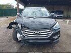 2017 Hyundai Santa Fe Sport 2.4l Черный vin: 5NMZU3LB4HH018166
