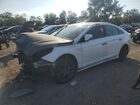 2019 Hyundai Sonata Limited Turbo White vin: 5NPE34ABXKH821441