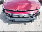 2016 Hyundai Sonata Sport Красный vin: 5NPE34AF7GH378921