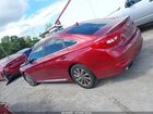 2016 Hyundai Sonata Sport Красный vin: 5NPE34AF7GH378921