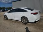 2018 Hyundai Sonata Sport White vin: 5NPE34AF7JH667448