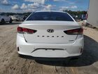 2018 Hyundai Sonata Sport White vin: 5NPE34AF7JH667448
