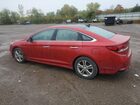 2019 Hyundai Sonata Limited Красный vin: 5NPE34AF7KH791396