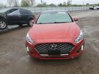 2019 Hyundai Sonata Limited Красный vin: 5NPE34AF7KH791396