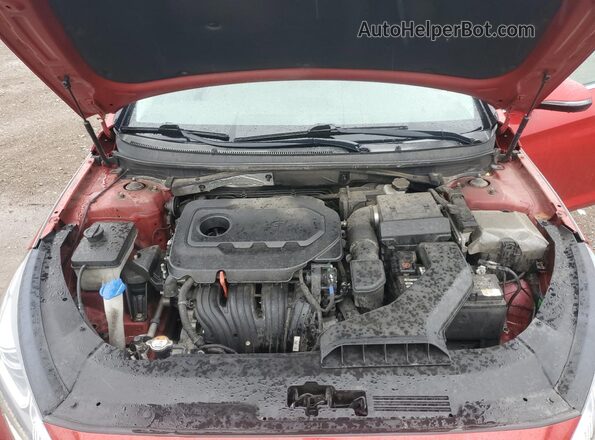 5NPE34AF7KH791396 2019 HYUNDAI SONATA Красный Вид задней части салона