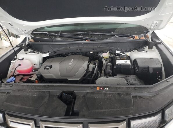 5NTJCDDE6SH131515 2025 HYUNDAI SANTA White Սալոնի հետևի տեսք
