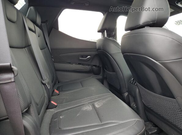 5NTJEDDF2RH107516 2024 HYUNDAI SANTA Gray Widok wnętrza z tyłu