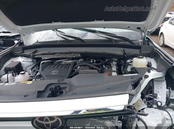 5TDAAAB56SS087080 2025 TOYOTA GRAND HIGHLANDER Белый Вид сзади