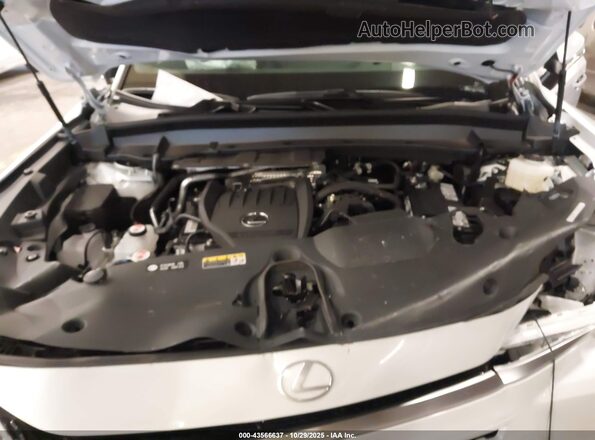 5TDAAAB64SS034869 2025 LEXUS TX 350 White Rear view