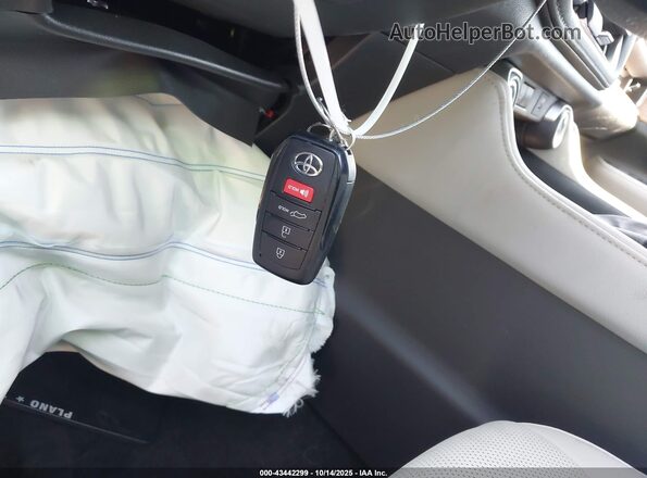 5TDACAB52SS054474 2025 TOYOTA LIMITED Gray Vista del salpicadero
