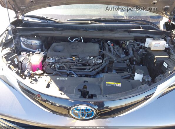 5TDERKEC5PS178147 2023 TOYOTA SIENNA Gray Rear view