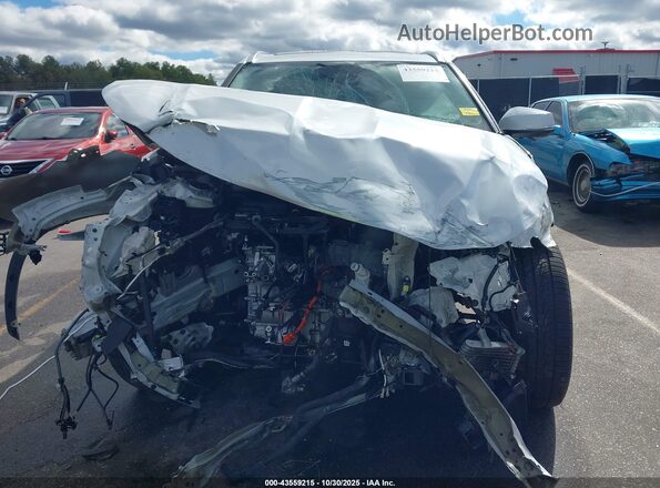 5TDFARAH9PS021680 2023 TOYOTA HIGHLANDER HYBRID Белый Вид задней части салона