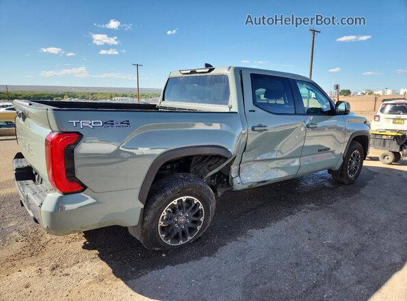 5TFLA5DBXSX304482 2025 TOYOTA TUNDRA Серый Задняя правая четверть