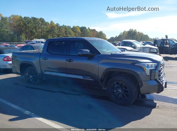 5TFNC5DB1PX033094 2023 TOYOTA TUNDRA HYBRID Gray Widok wnętrza z tyłu