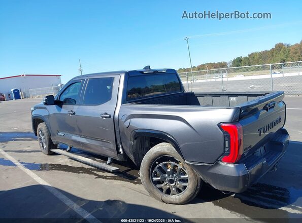 5TFNC5DB1PX033094 2023 TOYOTA TUNDRA HYBRID Gray Widok wnętrza 360 stopni