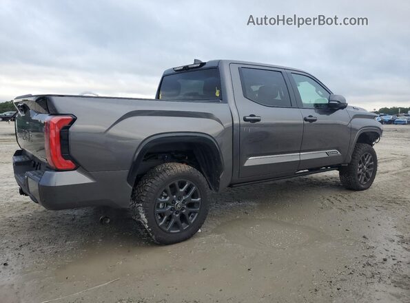5TFNC5DB3SX100898 2025 TOYOTA TUNDRA Серый Задняя правая четверть