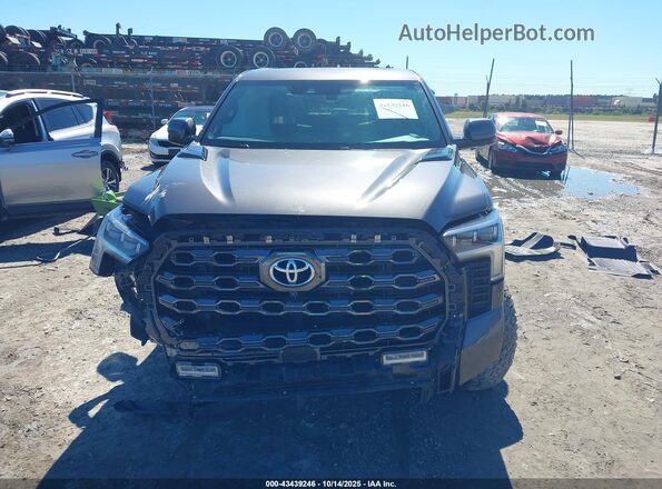 5TFNC5DB7PX018907 2023 TOYOTA TUNDRA HYBRID Серый Вид сзади
