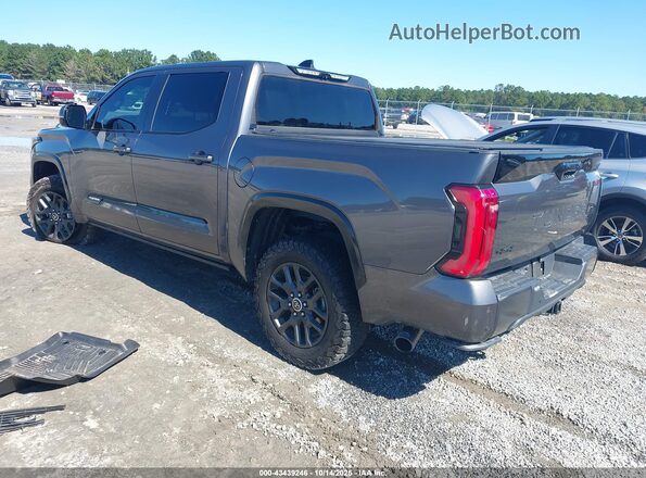 5TFNC5DB7PX018907 2023 TOYOTA TUNDRA HYBRID Серый Задняя левая четверть