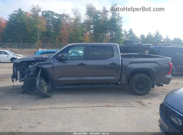 5TFPC5DB7SX103117 2025 TOYOTA TUNDRA HYBRID Серый 