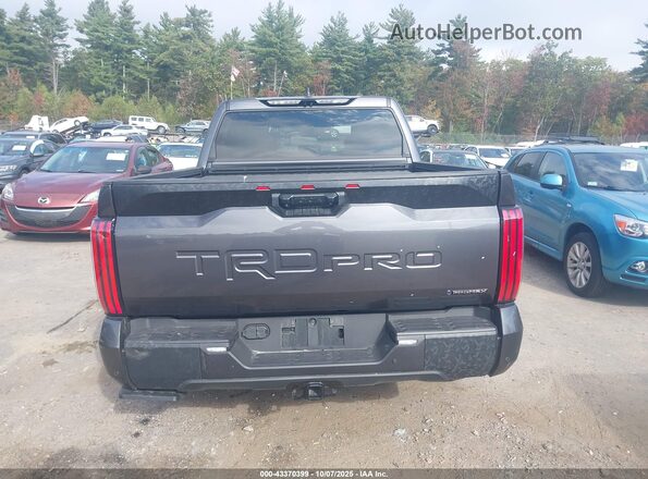 5TFPC5DB7SX103117 2025 TOYOTA TUNDRA HYBRID Серый 