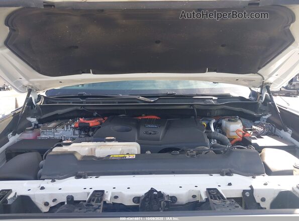 5TFPC5DB8PX016527 2023 TOYOTA TUNDRA HYBRID White Rear view
