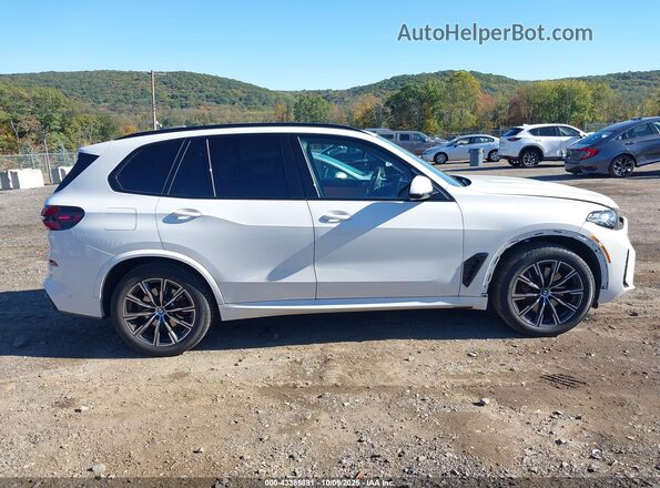 5UX23EU09S9Z07950 2025 BMW X5 Белый Вид задней части салона