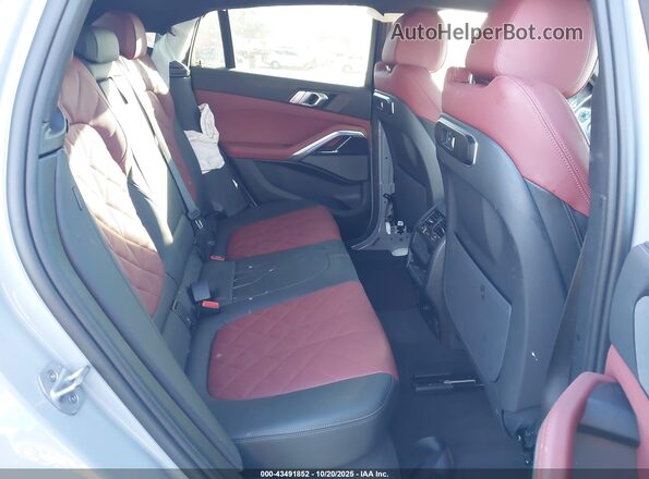 5UX33EX09S9Y17620 2025 BMW X6 Серый Вид наклейки с VIN-кодом