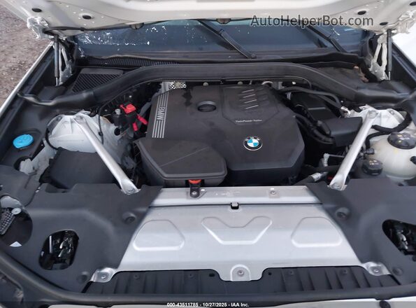 5UX53DP00P9R81977 2023 BMW X3 White Вид ззаду