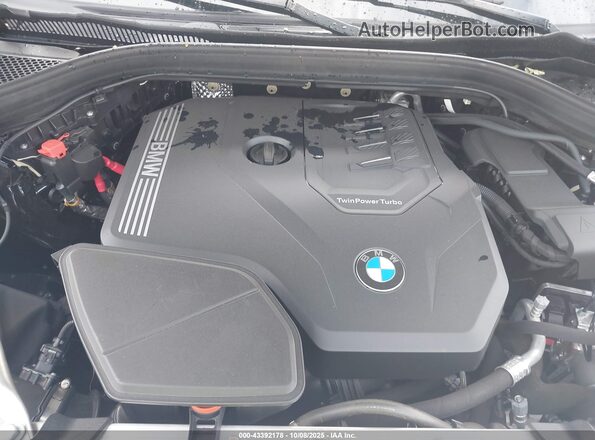 5UX53DP04R9X23948 2024 BMW X3 Black Вид ззаду
