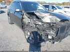 2023 Bmw X5 Xdrive40i Зеленый vin: 5UXCR6C04P9S00756
