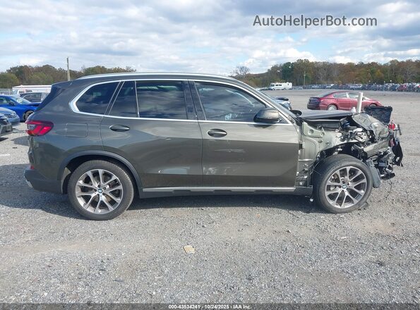 5UXCR6C04P9S00756 2023 BMW X5 Зеленый Вид задней части салона