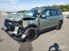 2025 Kia Telluride Ex Green vin: 5XYP3DGC4SG671777