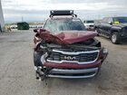 2023 Kia Telluride Sx Красный vin: 5XYP5DGC2PG387579
