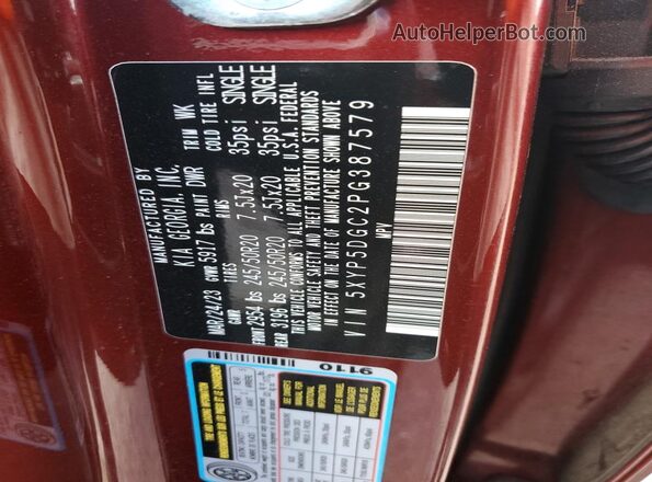 5XYP5DGC2PG387579 2023 KIA TELLURIDE Красный Вид подкапотного пространства