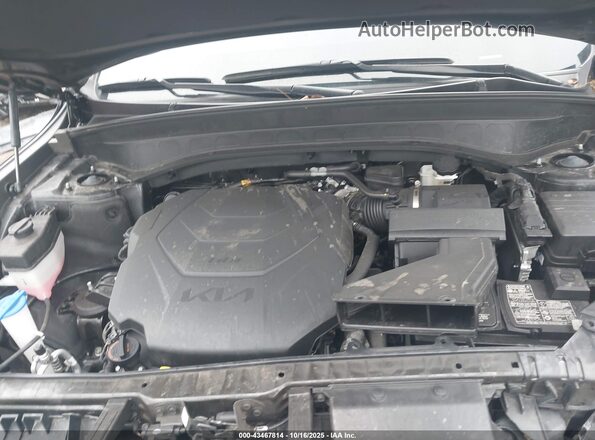 5XYP5DGC9RG437400 2024 KIA TELLURIDE Черный Вид сзади