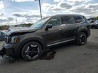 2025 Kia Telluride S Green vin: 5XYP6DGC5SG602569