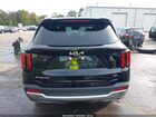 2024 Kia Sorento S Black vin: 5XYRLDJC8RG294186