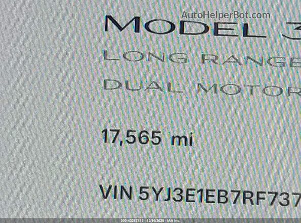 5YJ3E1EB7RF737029 2024 TESLA MODEL 3 Blue Vista de los asientos traseros