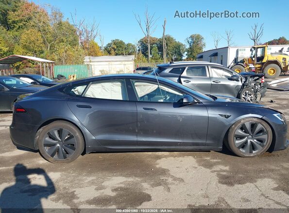 5YJSA1E56PF527181 2023 TESLA MODEL S Gray Vista interior trasera
