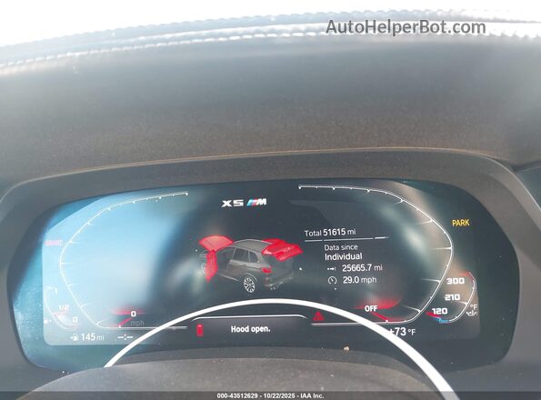 5YMJU0C08P9P88463 2023 BMW X5 Белый Вид задних сидений