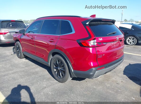 7FARS5H80RE013729 2024 HONDA CR-V HYBRID Red Tył lewy