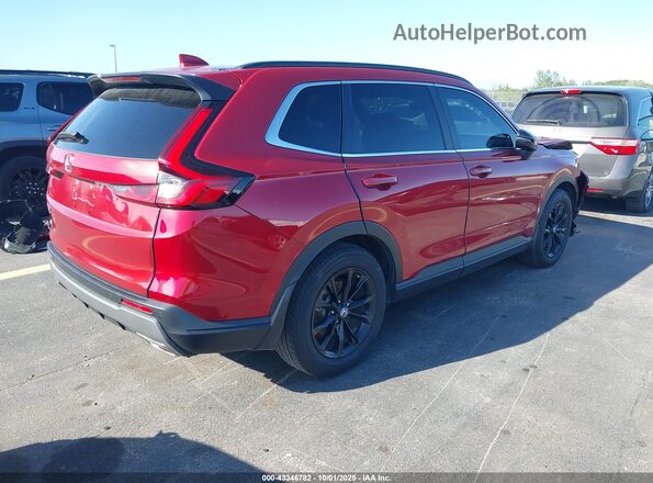 7FARS5H80RE013729 2024 HONDA CR-V HYBRID Red Tył prawy