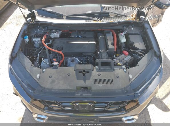 7FARS6H91RE062713 2024 HONDA CR-V HYBRID Black Widok z tyłu