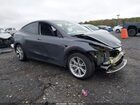 2023 Tesla Model Y   Gray vin: 7SAYGAEE6PF600769